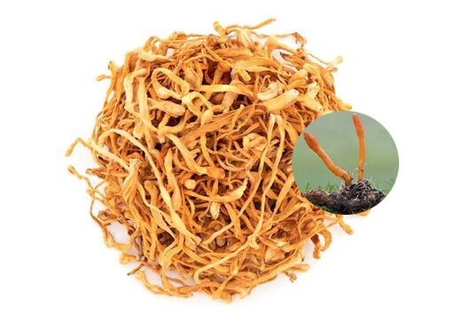 SugaNorm contén cordyceps