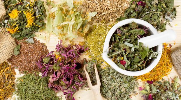 Plantas medicinais que axudan a combater a diabetes